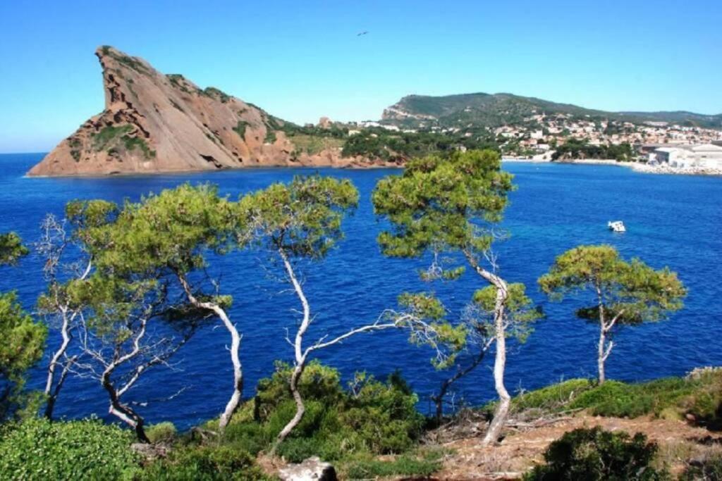 L'Oree De La Plage: Appt. Tout Confort 4/6 Pers. 400 M De La Plage لا سيوتا المظهر الخارجي الصورة